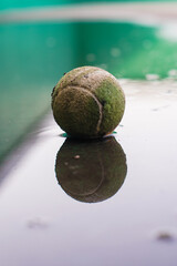 Old, Wet Tennis Ball with Reflection