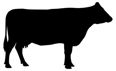 Vector Silhouette Of A Cow.