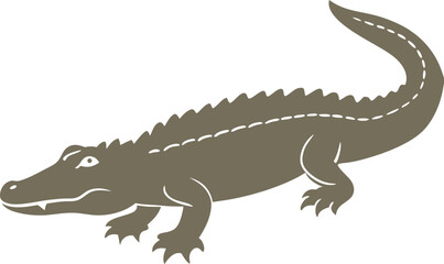crocodile isolated on white