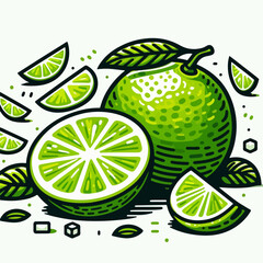 lime illustraion 