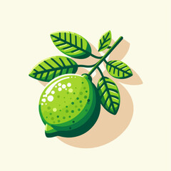 lime illustraion 
