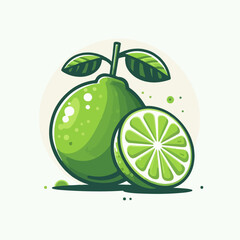 lime illustraion 