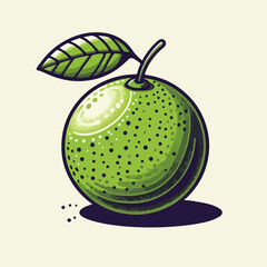 lime illustraion 