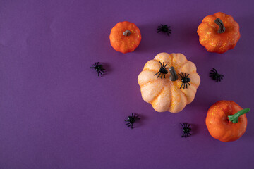 four autumn pumpkins ready to be eaten by little black spiders for a Halloween party