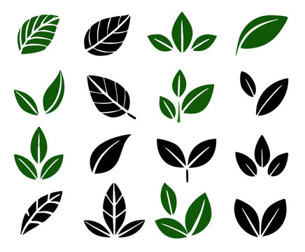 Two leaves icon. Leaf symbol. Nature organic isolated illustration. Vegetarian or vegan label. Green eco logo.