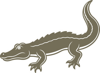 lizard isolated on white background