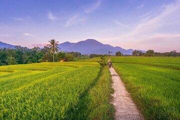 beautiful morning view from Indonesia of mountains and tropical forest