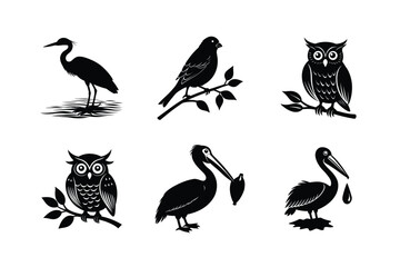Obraz premium Diverse bird outlines and poses for visual content Silhouette Vector illustration