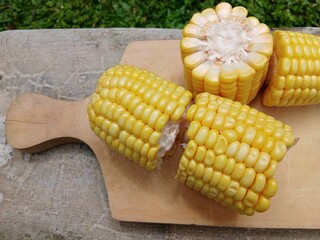 Fresh raw corn on a cutting board with outdoor background.