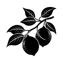 vector illustration of an apple Silhouette with a transparent background