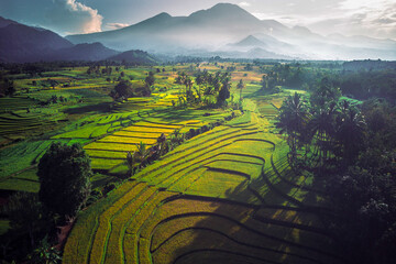Fototapeta premium beautiful morning view from Indonesia of mountains and tropical forest