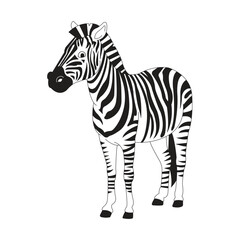 zebra silhoutte vector art design