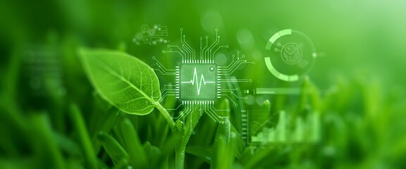 Green leaf with digital overlay on grass representing technology and nature. Perfect for green energy visuals, sustainable tech branding, or environmental interface scenes.