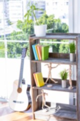Guitar by shelf near window