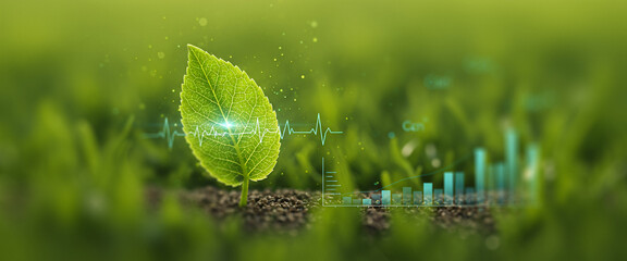 Single green leaf on soil surrounded by green foliage in morning light. Great for eco-science branding, biotech farming visuals, or natural sustainability interface scenes.