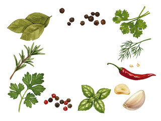 Vector watercolor spice herb / 水彩テイストのスパイスとハーブイラスト