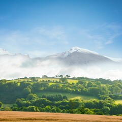 Flat design showing golden brown field, green hills with mist, snowy peak under clear blue sky