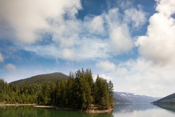Trees growing by lake and mountains against sky