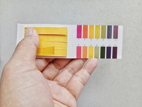 A man uses litmus paper to check the pH level. Laboratory work.