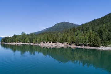 Forest on mountain by river against blue sky