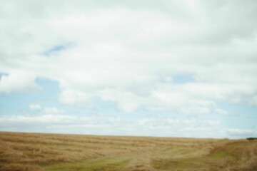 Fototapeta premium Scenic view of field against cloudy sky