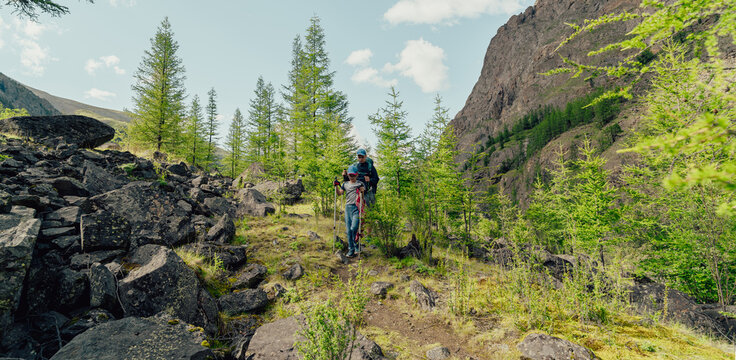 children hiking in the wild