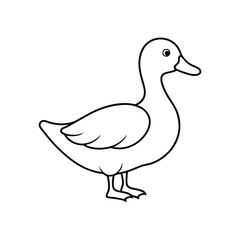 duck flat line art illustration, duck line art icon