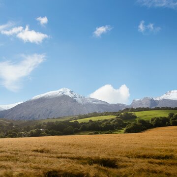 Fototapeta Country scene with mountain