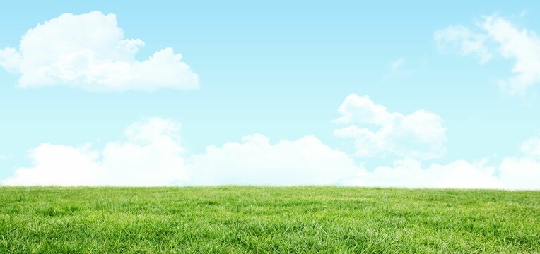 Fototapeta Flat design is showing green grass field stretching to horizon under clear blue sky with clouds