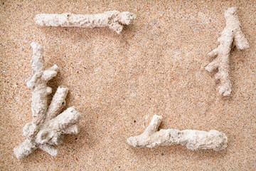 frame border made of coral reef on sand