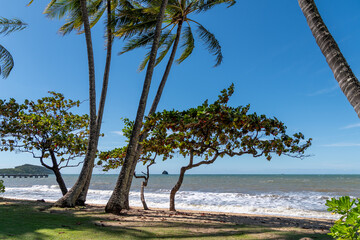 Palm Cove is a tiny enclave of fine dining, luxury resorts and spectacular pools beside a palm...