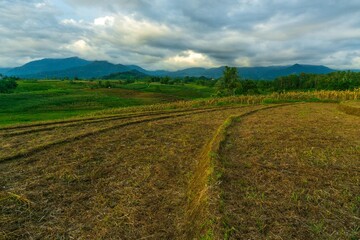 beautiful morning view from Indonesia of mountains and tropical forest