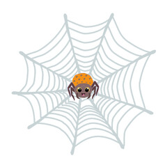 Cute Halloween spider and cobweb illustration with spooky style for seasonal design.