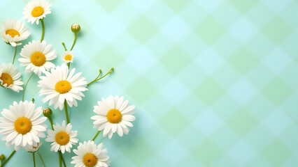 Obraz premium White Daisy Flowers on Light Green Checkered Background