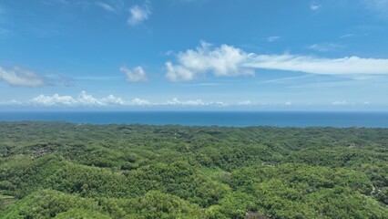 Obraz premium The enchanting landscape of the combination of sky, sea and forest in Gunung Kidul, Yogyakarta