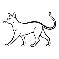 vector image of a cat
