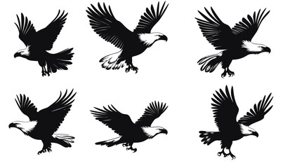 Obraz premium Set of six flying bald eagle silhouettes in various dynamic poses with detailed wings and head, vector illustration in flat minimalist style for wildlife and patriotism themes