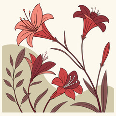 flowers with a white background