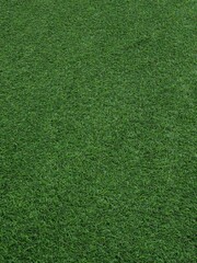 Close-up Texture of Green Grass Turf © Seonyoung