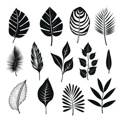 Obraz premium Botanical Silhouette Leaves Vector Set for Nature Designs