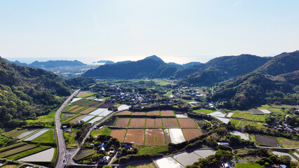 田舎