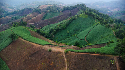 Aerial view of a mountain that has been cut down and destroyed by humans. Bird's-eye view of...