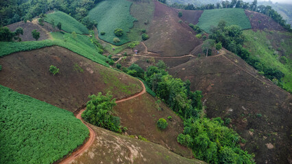 Aerial view of a mountain that has been cut down and destroyed by humans. Bird's-eye view of deforestation in Thailand. Environmental destruction.