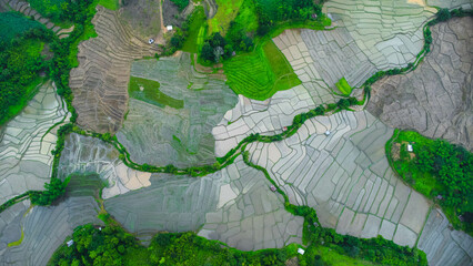 Aerial view of agricultural landscape of Thailand. Rice fields waiting to be cultivated in the countryside. Agriculture in the rainy season.