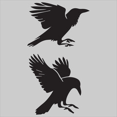 Obraz premium Majestic Raptor 