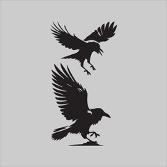 Obraz premium Crow Flock Argument