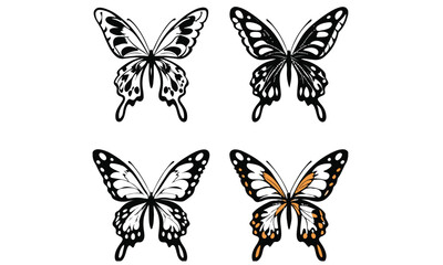 butterfly insect nature wings fly