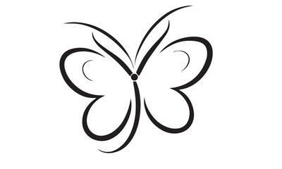 butterfly insect nature wings fly