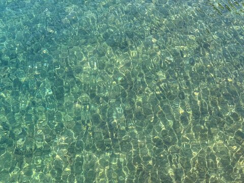 Natural background sea seabed ocean floor water underwater algae.