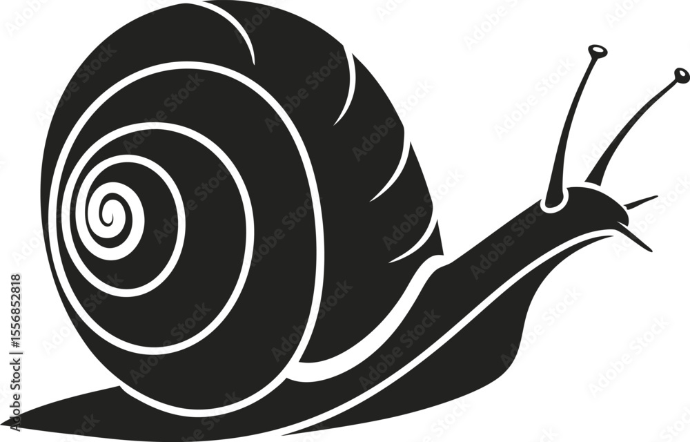 Poster vector art of snail with a spiral shell isolated on white background